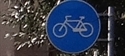 Piste ciclabili: sono sicure? Inchiesta in sei città