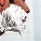 Schiuma da barba come sceglierla