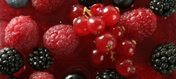 Epatite A: ritirati altri frutti di bosco surgelati