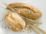 Le macchine per fare il pane in casa