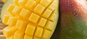 Guida alla frutta esotica. Guarda il video