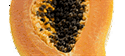 Papaya fermentata: tanto clamore per nulla