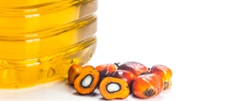 Sostanze tossiche nell'olio di palma