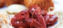 Crostacei: guida all'acquisto