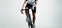 Mountain bike: prove su due ruote