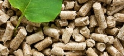 Stufe a pellet, cosa sono e come funzionano