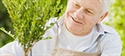 Alimentazione anziani