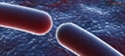 Antibiotici: come e quando usarli
