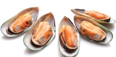 Molluschi, come riconoscerne la freschezza