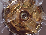 Risparmiare acqua