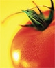Pomodori: guida all'acquisto