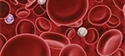Farmaci anticoagulanti: quello che c’è da sapere