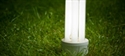 Lampadine fluorescenti e a led