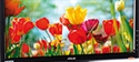 Monitor lcd per computer