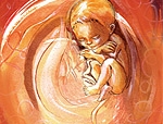 Aborto, parlano le donne
