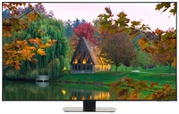 SAMSUNG QE55QN90CATXZT