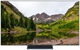 LG OLED65C65LA