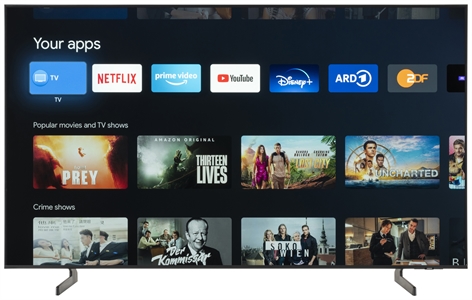 SAMSUNG QE65Q60BAUXZT