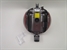 DYSON Cinetic Big Ball Absolute 2