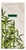 REGINA Soft Bamboo