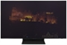 SAMSUNG QE48S95HAEXZT