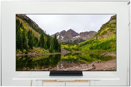 LG OLED65C5ELB