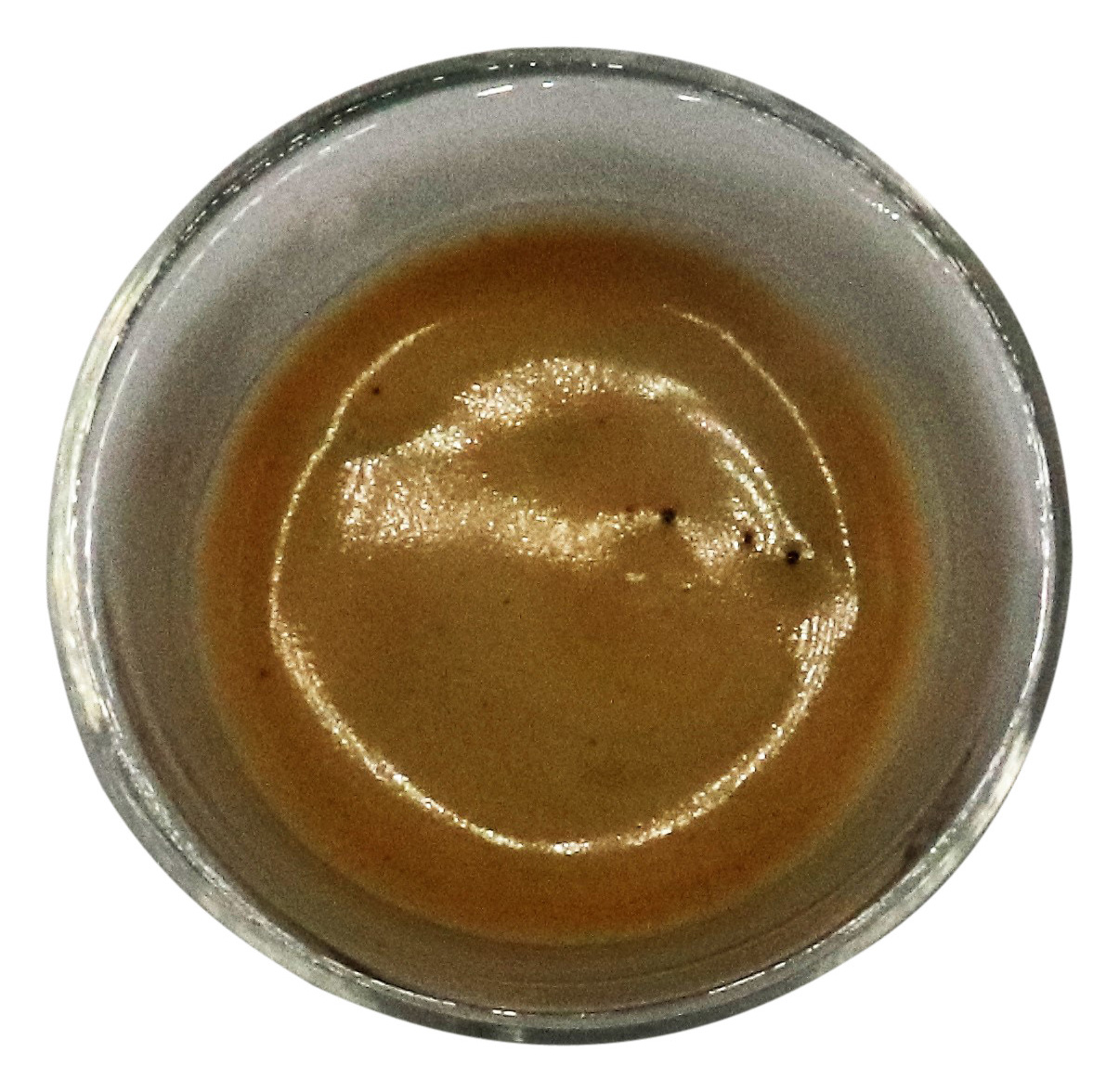 GAGGIA ANIMA CLASS R18759/01