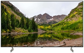 LG OLED65B65LA